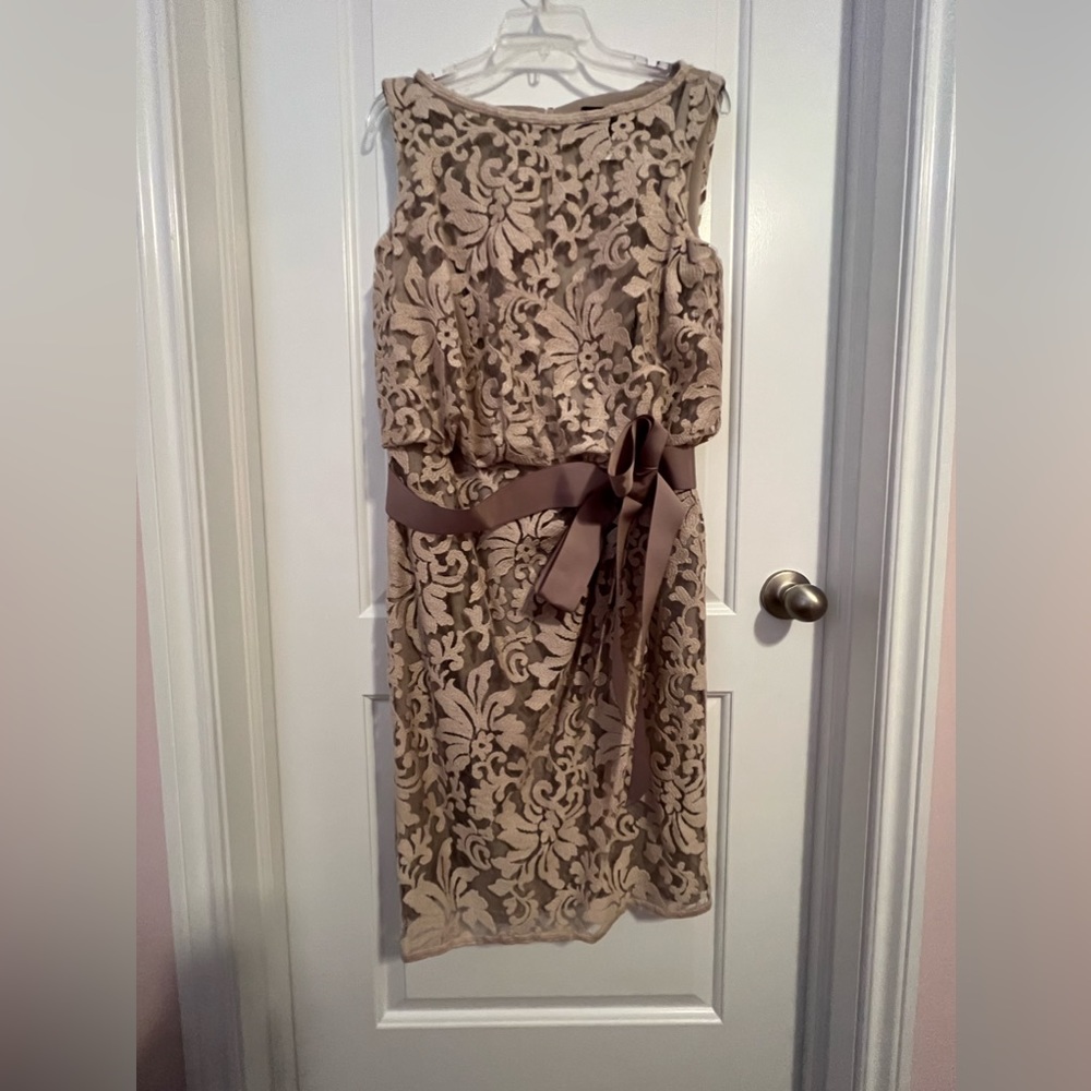 Tadashi Shoji lace overlay boulson ribbon dress